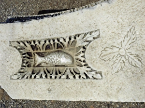 Anatolian Collection: Fish. Relief. Theatre of Hierapolis. Turkey