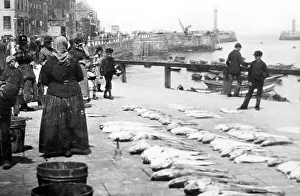 Fish seller, Whitby