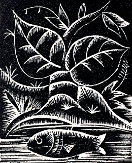 Images Dated 16th February 2011: A fish swimming in a river