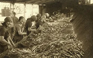 Processing Prints: Fisher Girls at Gorleston-on-Sea, Norfolk