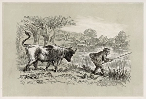 Unaware Collection: Fisherman and a Bull