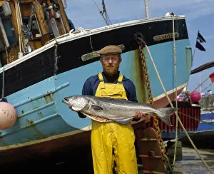 Images Dated 11th April 2017: Fisherman with large coley fish, St Ives, Cornwall