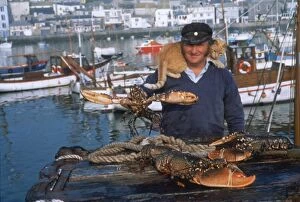 Images Dated 10th April 2017: Fisherman with lobsters and cat, St Ives, Cornwall