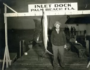 Fisherman with a sailfish in dock, Palm Beach, Florida, USA