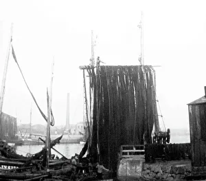 Drying Prints: Fishermen drying nets, Victorian period