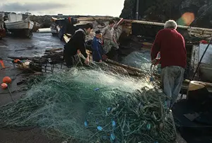 Fishermen pull nets ashore onto quayside, Donegal, Ireland