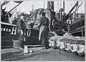 Images Dated 14th July 2021: Fishermen unloading their catch during the herring harvest, October and November