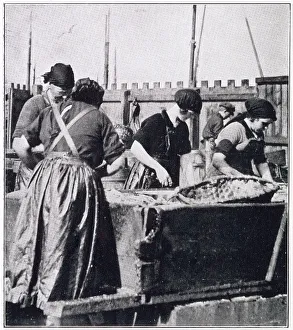Fisher Prints: Fisherwomen at Rothesay 1927