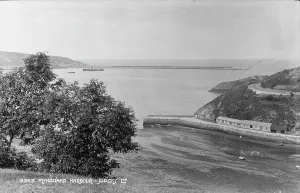 Fishguard Prints: Fishguard Harbour View