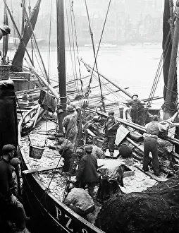 Unloading Prints: Fishing boat unloading catch in Whitby, early 1900s