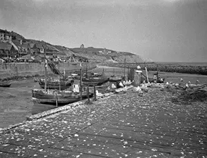 Fishing boats on a beach