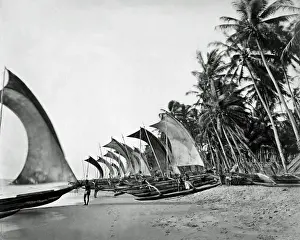 Fishing boats, Ceylon (Sri Lanka)