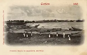 Suburb Prints: Fishing boats in harbour, Mutwal, Colombo, Ceylon