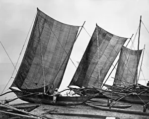 Fishing boats, India