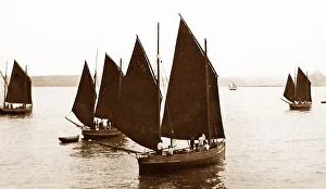 Mounts Prints: Fishing boats, Mounts Bay, Cornwall