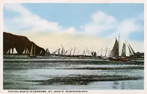 Fishing boats in Narrows, St. Johns, Newfoundland, Canada