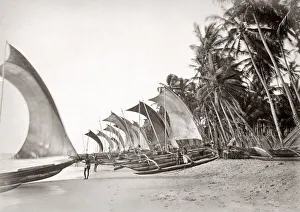 Fishing catamarans beach, Ceylon (Sri Lanka), c. 1880 s