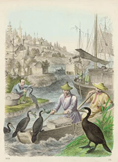 1858 Collection: Fishing with Cormorants