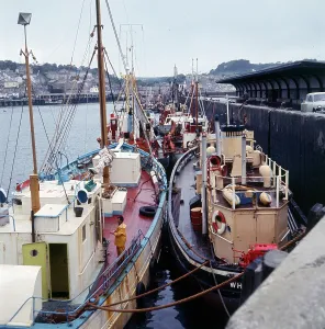 Brixham Prints: The Fishing fleet moored in Brixham Harbour, Devon
