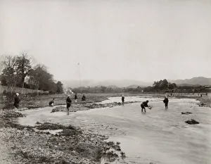 Fishing in the Kamogawa river, Kyoto, Japan