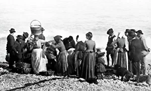 Menton Prints: Fishing, Menton, France, Victorian period