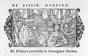 Fishing / Norway / Dangers