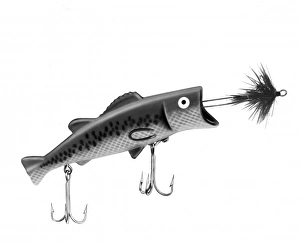 Fishing Plug