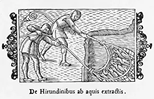 Scandinavia Prints: Fishing Scene / 1555