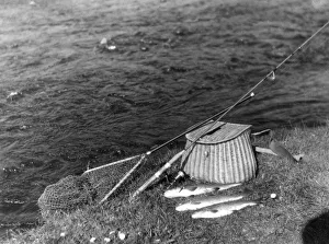 Images Dated 29th March 2011: Fishing Tackle & Trouts