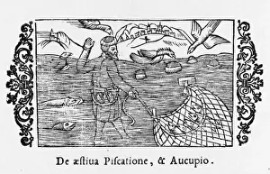 Fishing / Wading / 1555