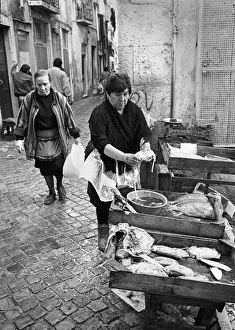 Octopus Prints: Fishmonger, Lison, Portugal - 2