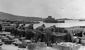 Outer Prints: Fishwives at work, Barra, Outer Hebrides, Scotland