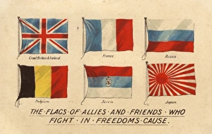 Images Dated 18th August 2011: Flags of the Allied countries during WWI