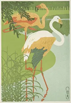 Flamingoes Prints: Flamingoes at the waterside