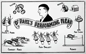 Doctor Prints: Flea Circus / Dr Paul