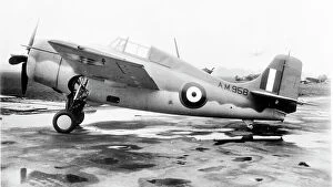 Fleet Air Arm - Grumman Martlet II - AM958