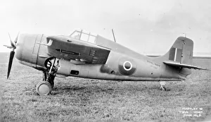 Whitney Gallery: Fleet Air Arm - Grumman Martlet V - JV337