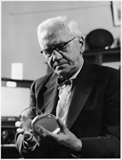 Fleming in his Lab 1952