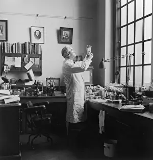 Fleming in his Lab / Photo