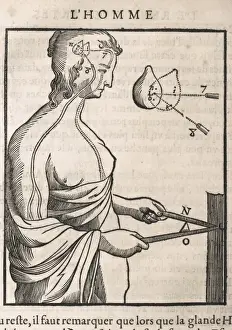 Flemish Astrolabe of Walter