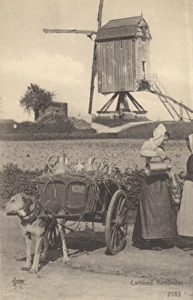 Delivering Milk