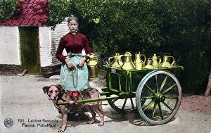Pail Collection: Flemish Milkmaid with her dog cart, Brussels, Belgium