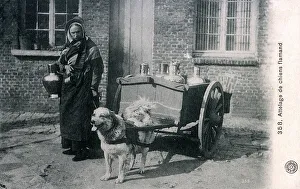 Flemish Milkmaid with her dog cart, Brussels, Belgium