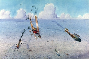 German Albatros, 1917