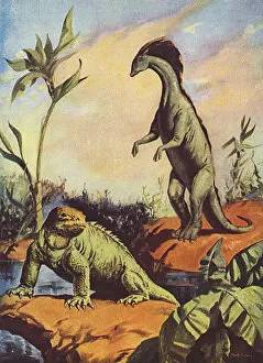 Dinosaurs Collection: Flights into the Future - dinosaurs on Venus?