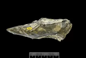 Images Dated 24th August 2018: Flint hand axe