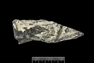 Flint hand axe
