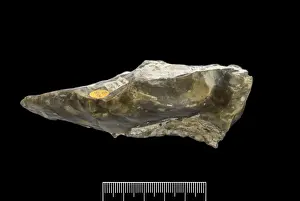 Flint hand axe