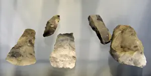 Moose Prints: Flint handaxes. Maglemosian Culture, 9500-6500 BC