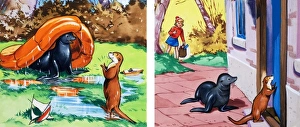 Images Dated 12th September 2006: Fliptail the Otter